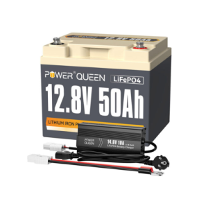 Batterie Lithium-Iron-Phosphate 50,4V 40 Ah Taurus 700